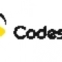 CodesOrbit company