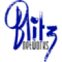 Blitz Networks Agency company