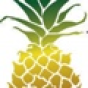 Pineapple Tweed Public Relations and Marketing