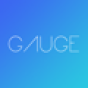 Gauge Insights company