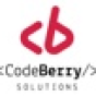 CodeBerry Solutions company