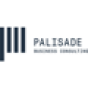 Palisade Business Consulting company
