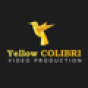 Yellow Colibri company