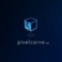 Pixelcarve Inc. company