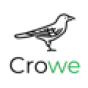 Crowe IT company