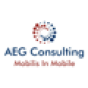 AEG Consulting company