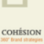 Cohesion Strategies company
