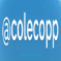 Nicole Copp Consulting company