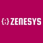 Zenesys Technosys company