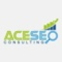 Ace SEO Consulting company