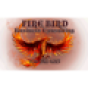 Firebird Business Consulting Ltd. company
