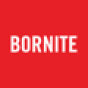 Bornite company