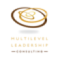 Multilevel Leadership Consulting company