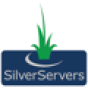 SilverServers company