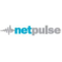 NetPulse Services company