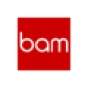 BAM Strategy company