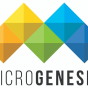 Microgenesis Techsoft Pvt Ltd company