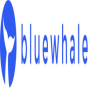 Blue Whale Apps company