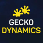 Gecko Dynamics company