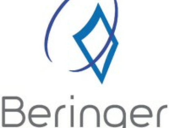 Beringer Technology Group