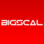 Bigscal Technologies Pvt. Ltd.