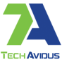 TechAvidus company