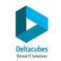 Deltacubes Technology Pvt Ltd, company