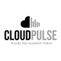 CloudPulse company