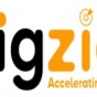 BIGZIEL TECHNOLOGIES