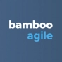 Bamboo Agile company