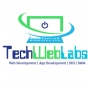 Techweblabs logo